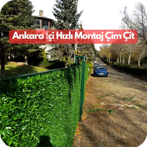 Ankara içi yeşil bahçe çim teli, Ankara yeşil bahçe çim tel, Yeşil duvar üstü çim örtüsü, Çit örtüsü çimli, Bahçe çim kaplama çitleri, Çim ile duvar kaplaması çit sistemleri