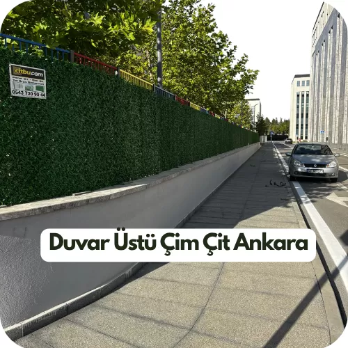 Duvar Üstü Çim Çit Ankara - Bahçe duvar üstü çit kaplama sistemleri, Çim çit ve Yeşil çimli tel olarak bilinir ve etkisi güneşten ve istenmeyen gözlerden korur, Çim çit fiyatı ve modelleri, çeşitleri, imalatı, firması, firmaları, satışı, toptan, üreticisi